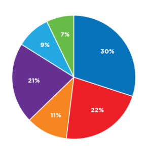 Annual Report PDF